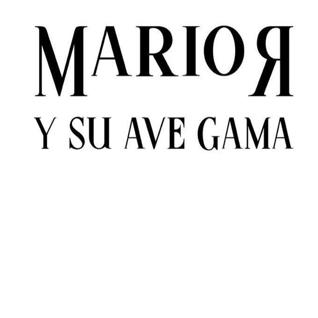 MARIO R Y SU AVE GAMA