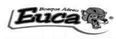 BOSQUE AEREO EUCA