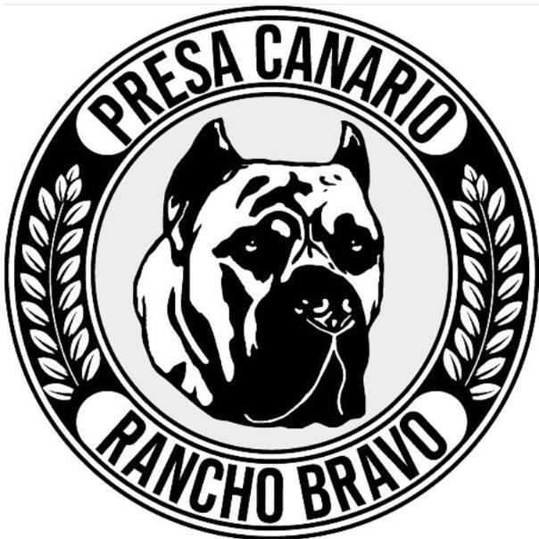 PRESA CANARIO RANCHO BRAVO