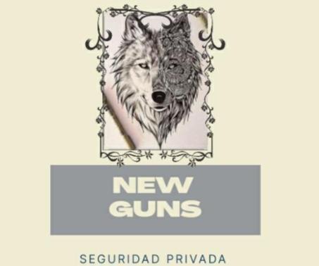 NEW GUNS