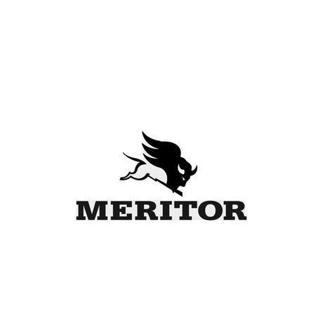 MERITOR