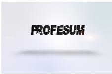 PROFESUM