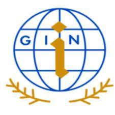 GIN I