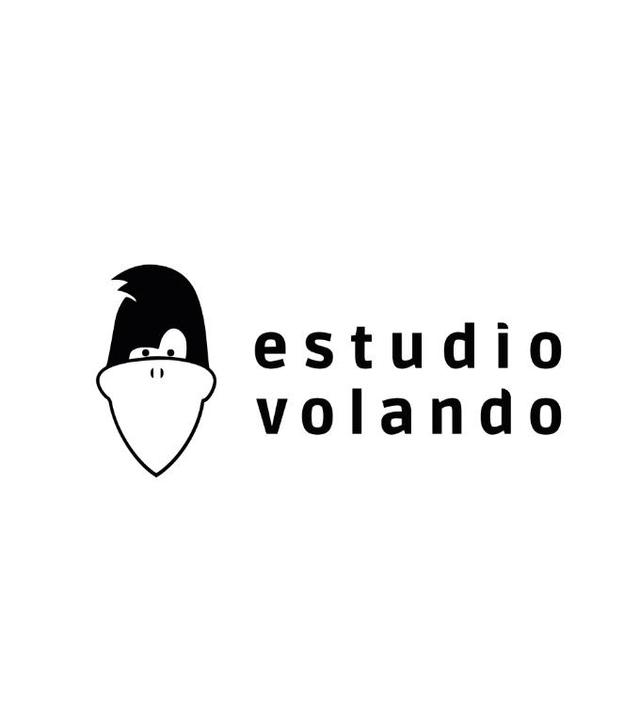 ESTUDIO VOLANDO