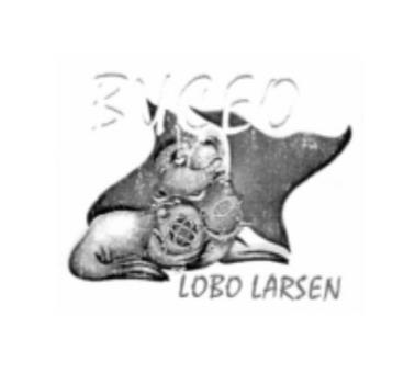 BUCEO LOBO LARSEN