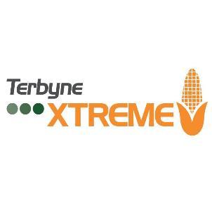 TERBYNE XTREME