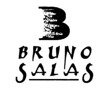 BRUNO SALAS B