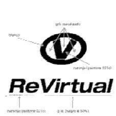 V REVIRTUAL