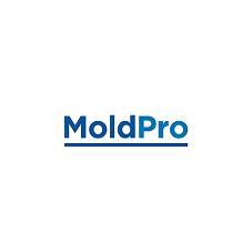 MOLDPRO