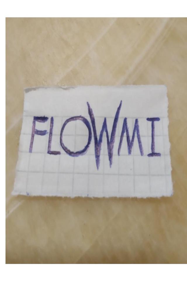 FLOWMI