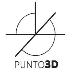 PUNTO 3D