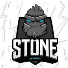 STONE ESPORTS