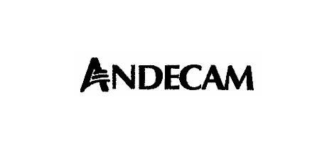 ANDECAM