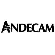 ANDECAM