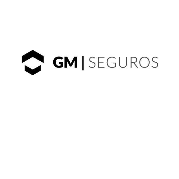 GM SEGUROS