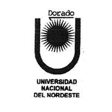 UNIVERSIDAD NACIONAL DEL NORDESTE