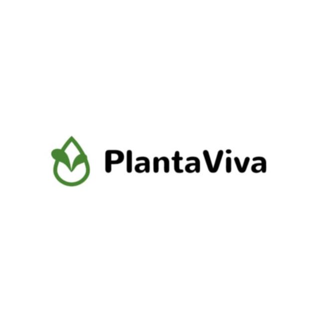 PLANTA VIVA
