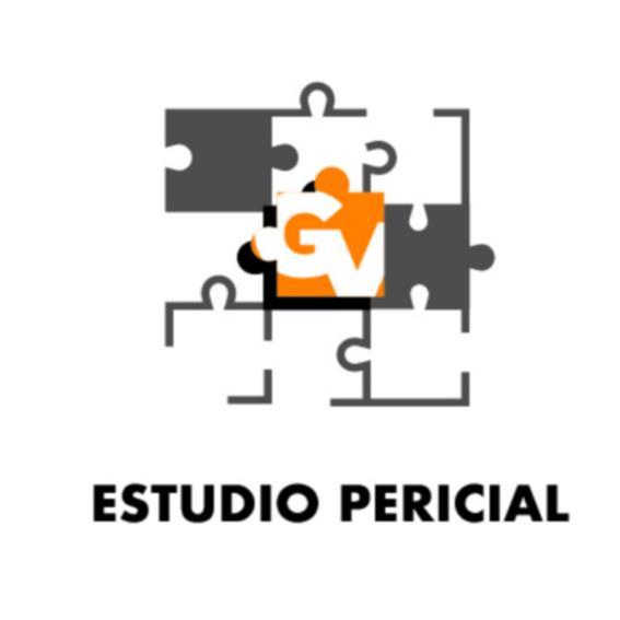 ESTUDIO PERICIAL GV