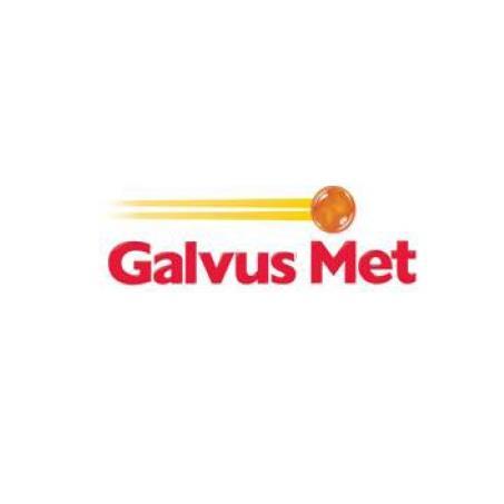 GALVUS MET