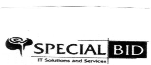 SPECIAL BID IT SOLUTIONS AND SERVICES