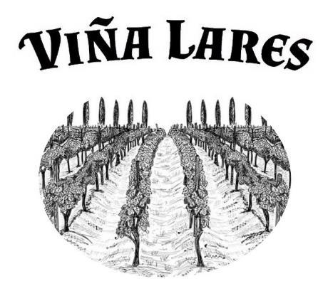 VIÑA LARES