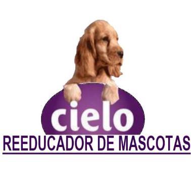 CIELO REEDUCADOR DE MASCOTAS