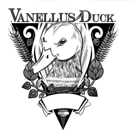 VANELLUS DUCK.