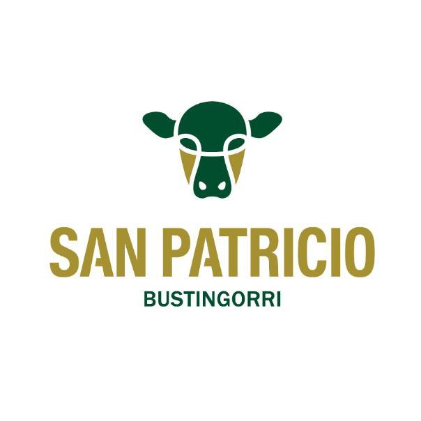 SAN PATRICIO BUSTINGORRI