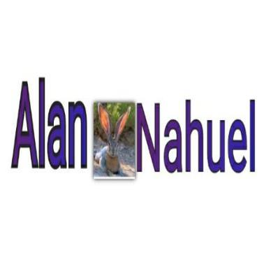 ALAN NAHUEL