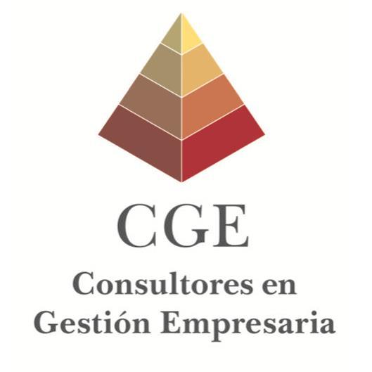 CGE CONSULTORES EN GESTION EMPRESARIA