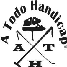 A TODO HANDICAP ATH