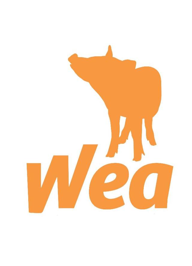 WEA