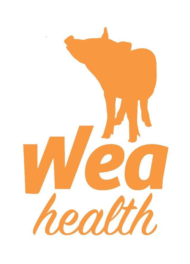 WEA HEALTH