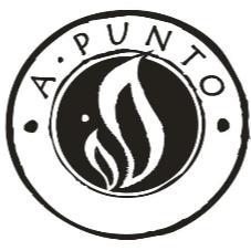 A. PUNTO