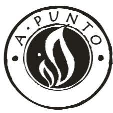 A. PUNTO