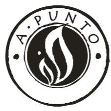 A. PUNTO