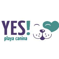 YES! PLAYA CANINA