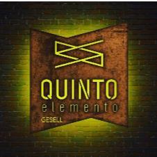 QUINTO ELEMENTO GESELL
