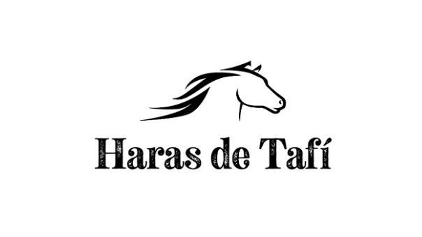 HARAS DE TAFI