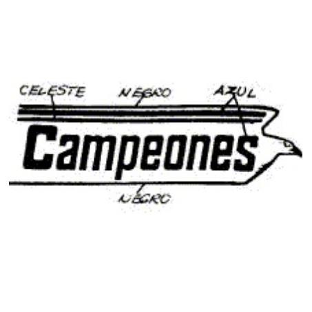 CAMPEONES