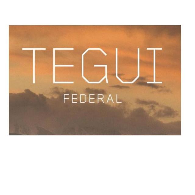 TEGUI FEDERAL