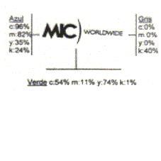 MIC WORLDWIDE