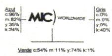 MIC WORLDWIDE