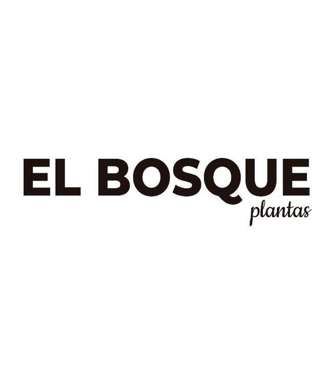 EL BOSQUE PLANTAS