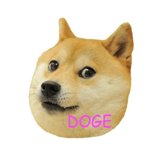 DOGE