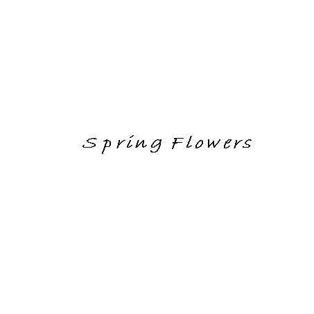 SPRING FLOWERS