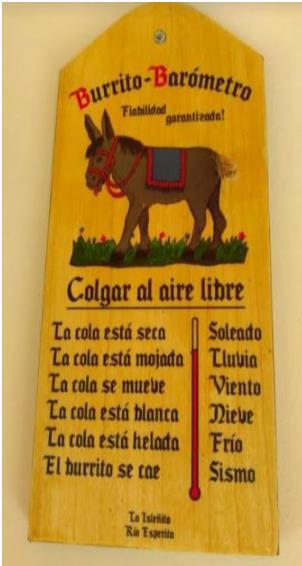 BURRITO BAROMETRO FIABILIDAD GARANTIZADA LA COLA ESTA SECA SOLEADO LA COLA ESTA MOJADA LLUVIA LA COLA SE MUEVE VIENTO LA COLA ESTA BLANCA NIEVE LA COLA ESTA HELADA FRIO EL BURRITO SE CAE SISMO