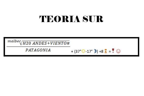 TEORIA SUR MALBEC H20 ANDES + VIENTO PATAGONIA + (37 -17) + 8