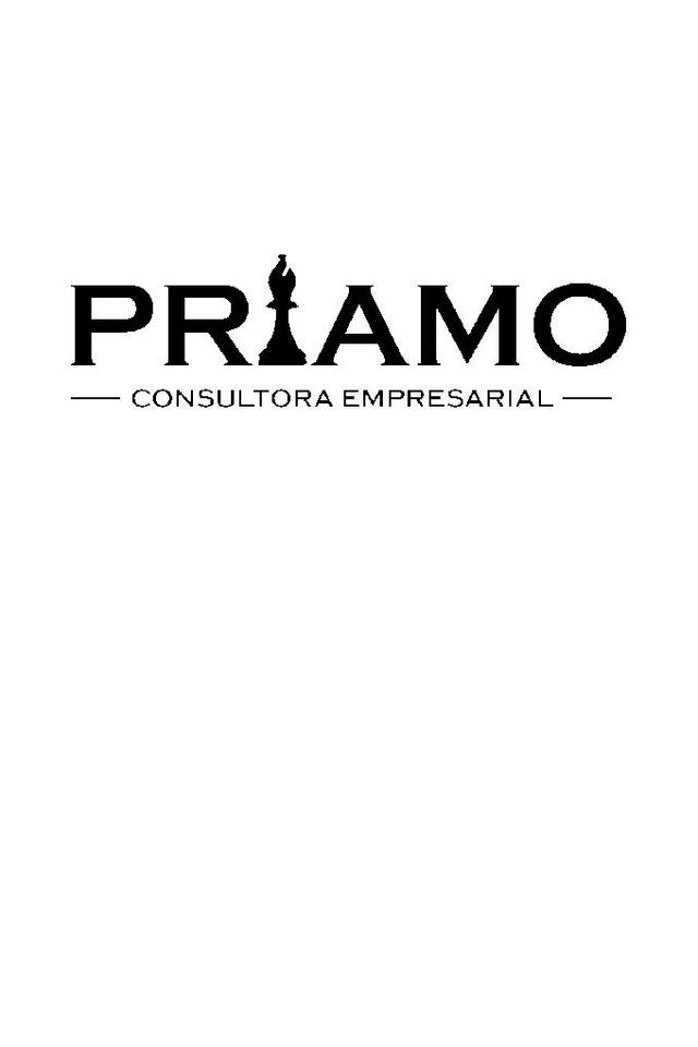 PRIAMO CONSULTORA EMPRESARIAL