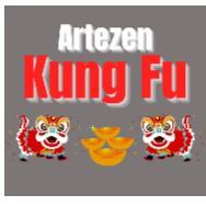 ARTEZEN KUNG FU